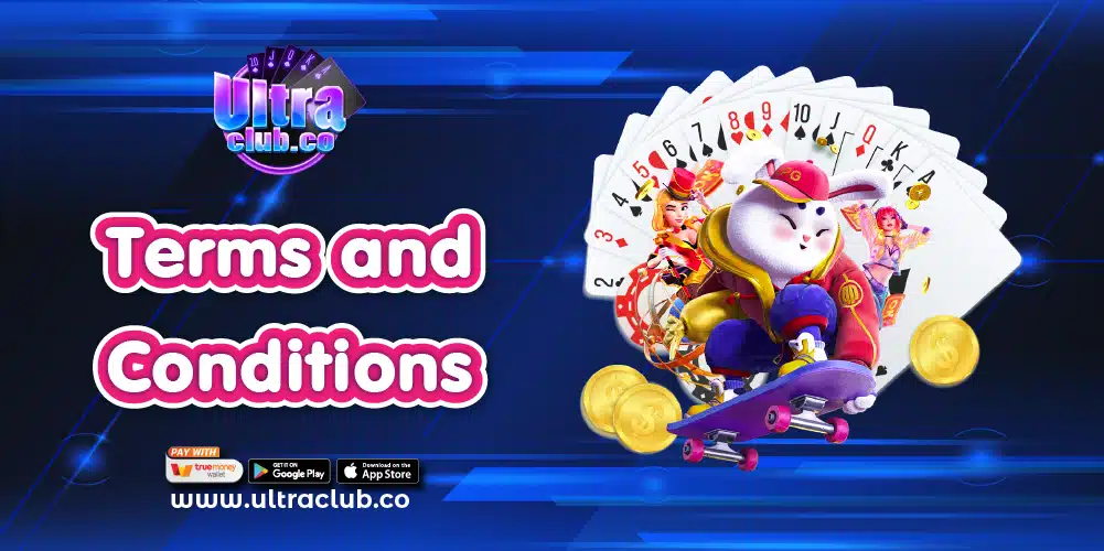 Terms and Conditions